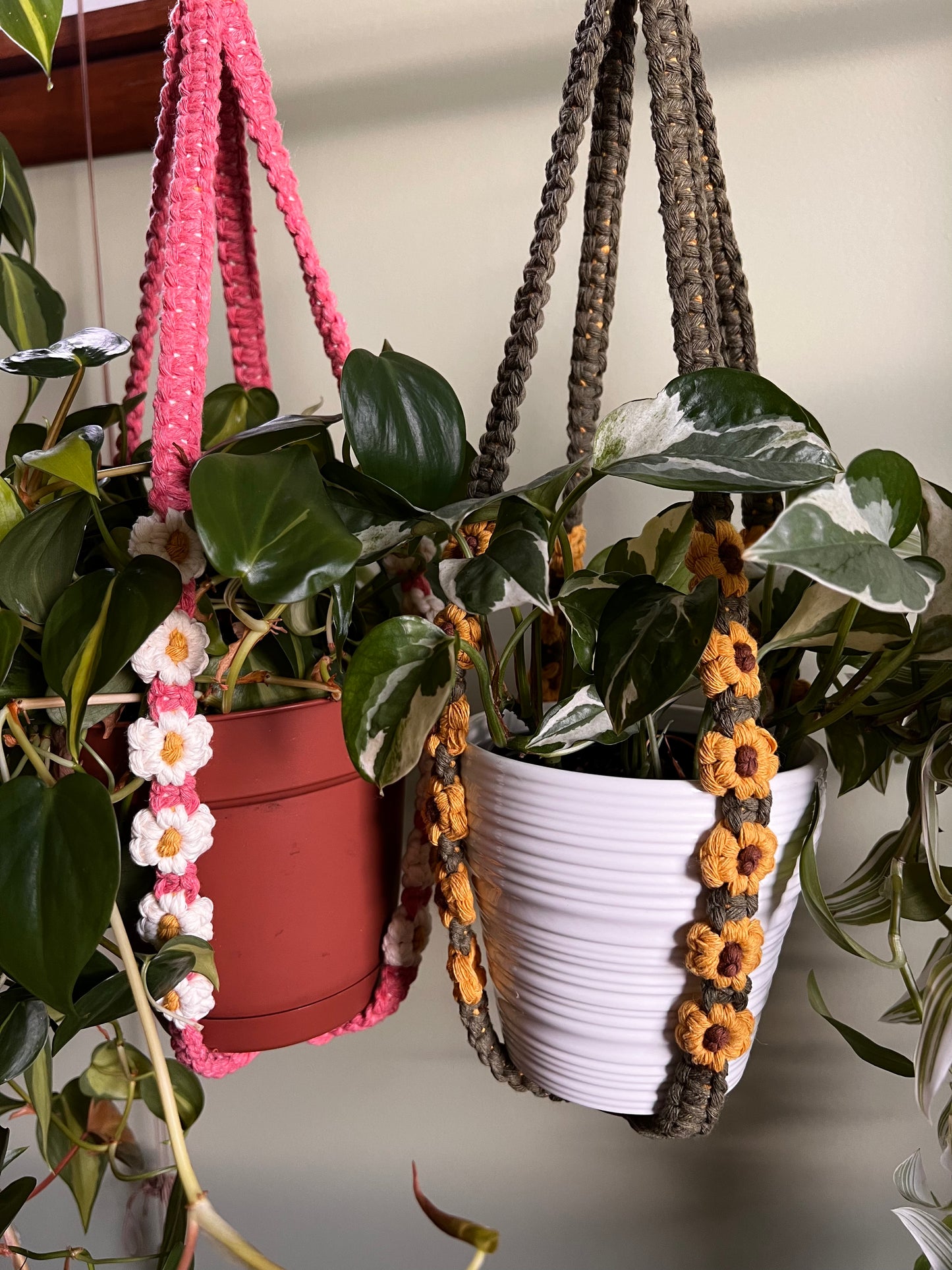 Tassel-Free Plant Hangers