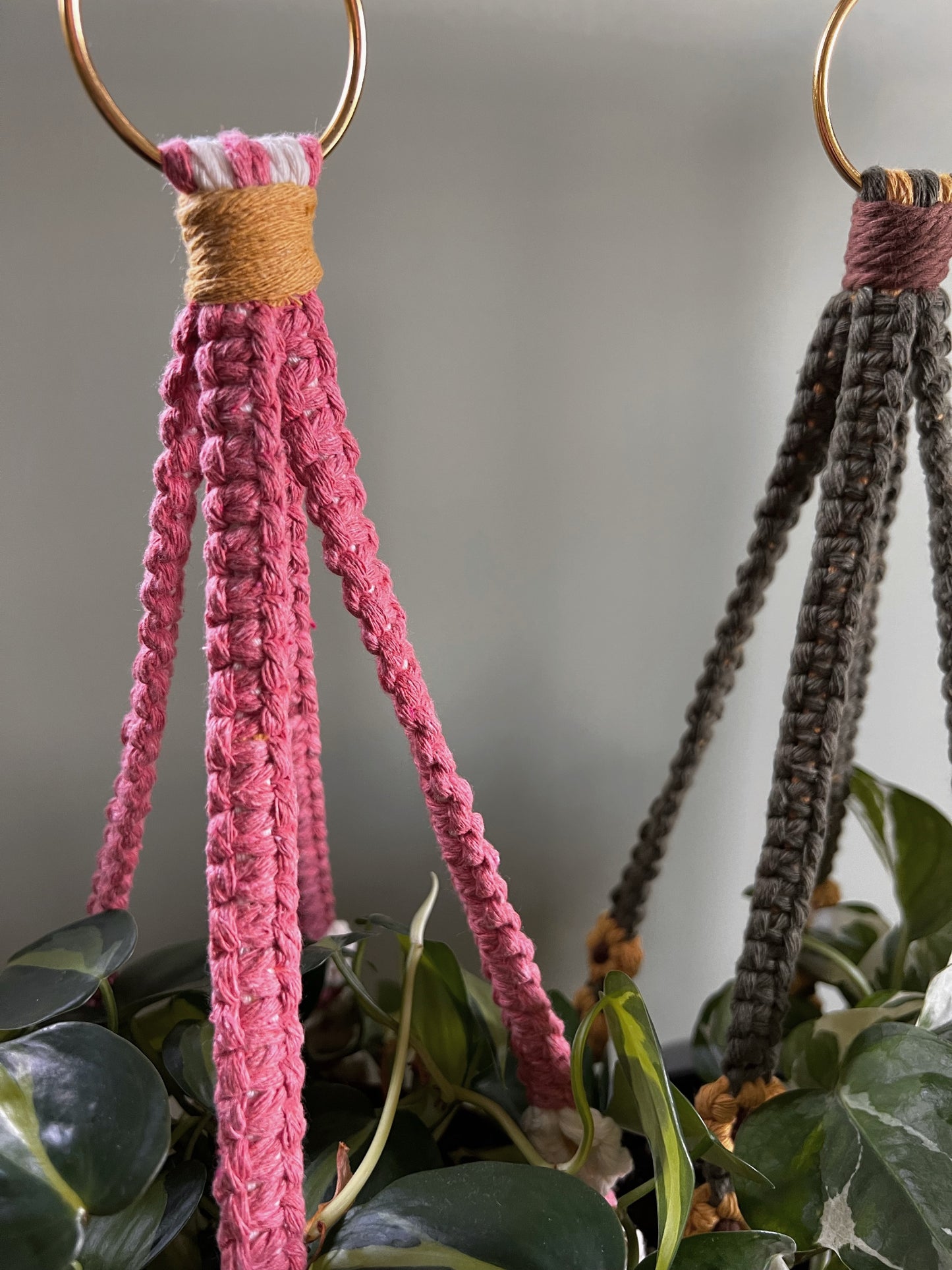 Tassel-Free Plant Hangers