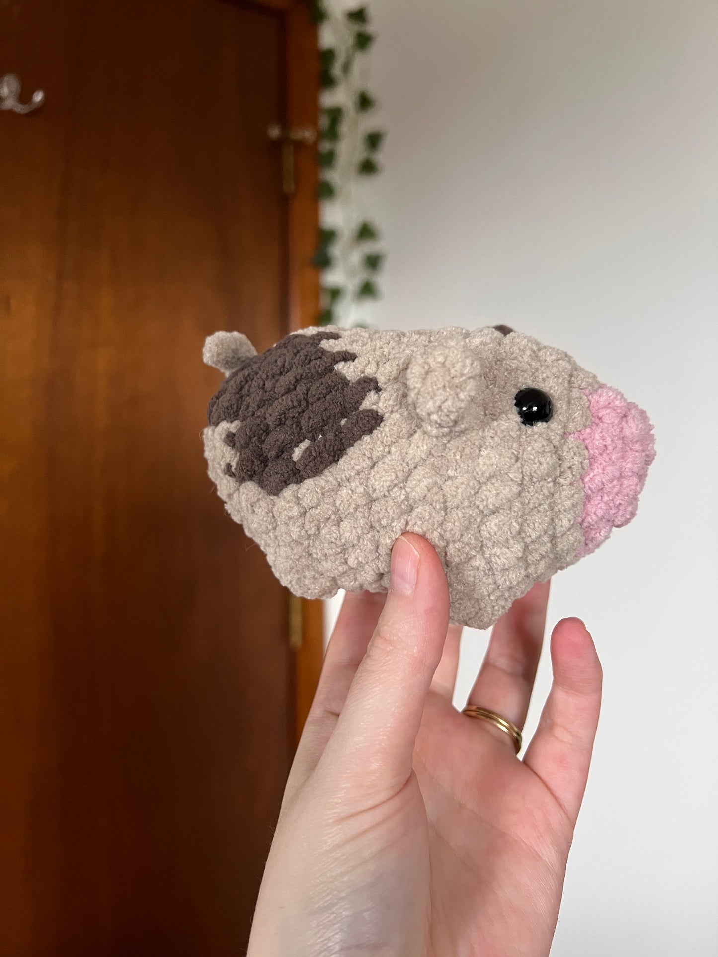 Mini Cow