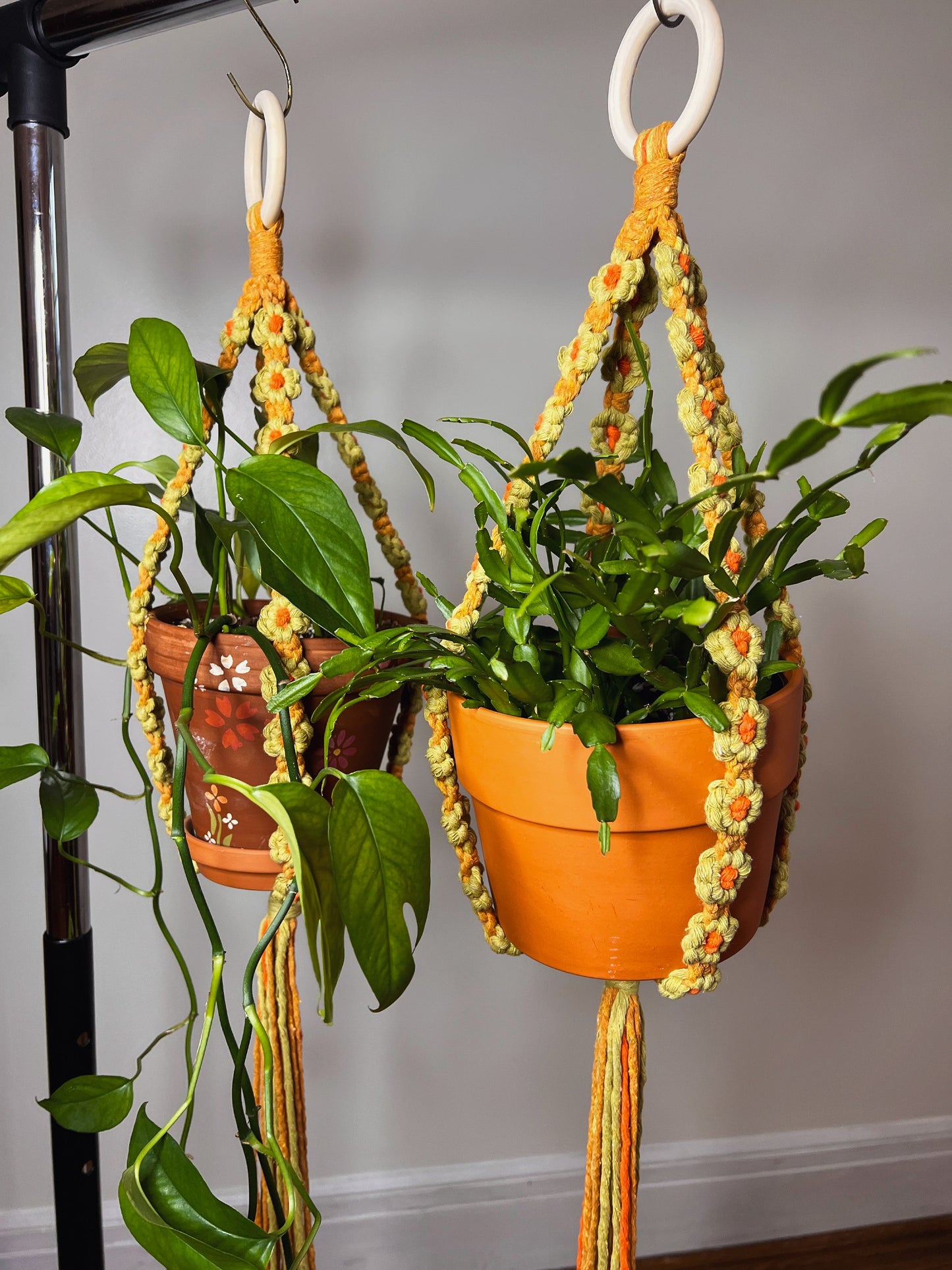 Macrame plant hangers