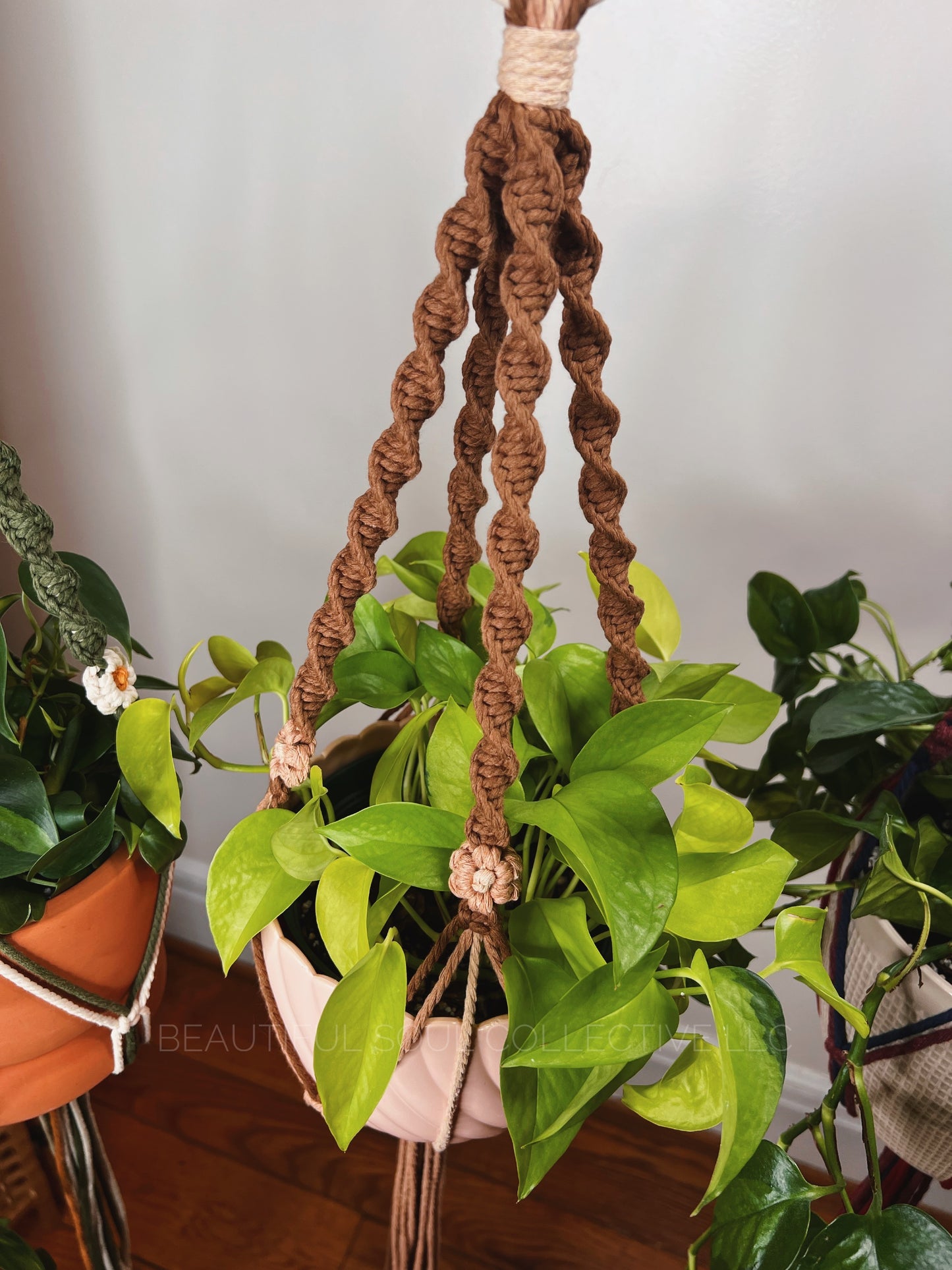 Colgador de plantas en espiral