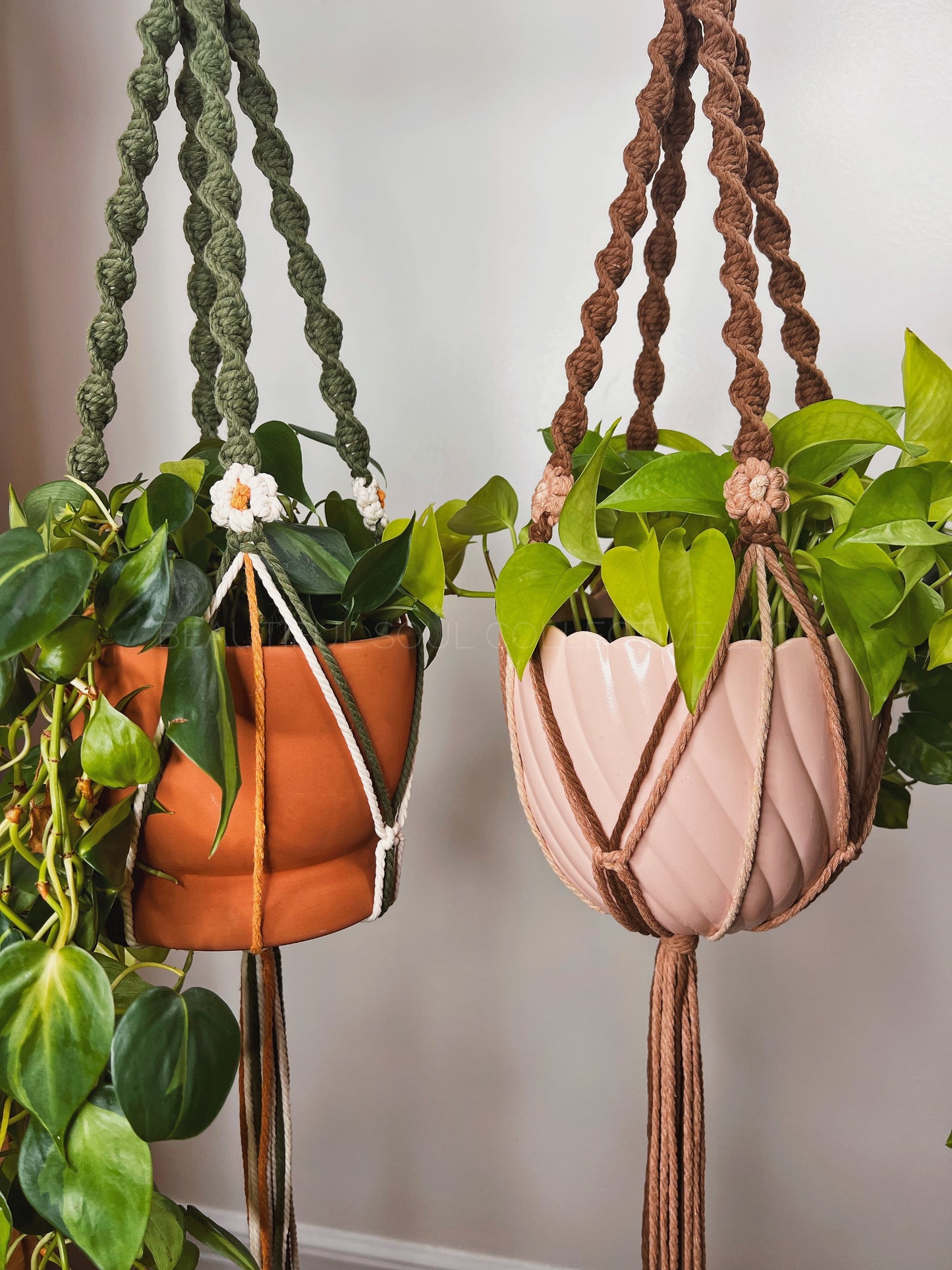 Colgador de plantas en espiral