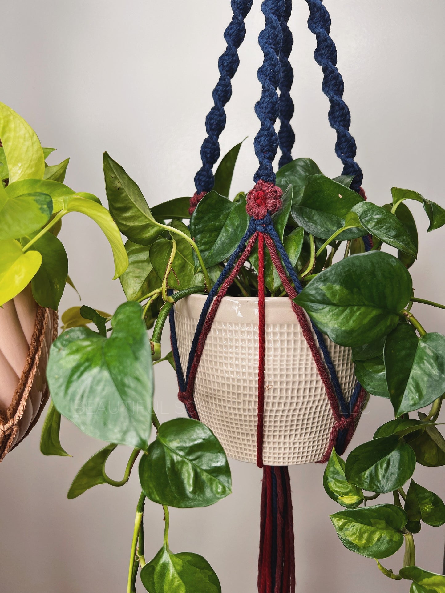 Colgador de plantas en espiral