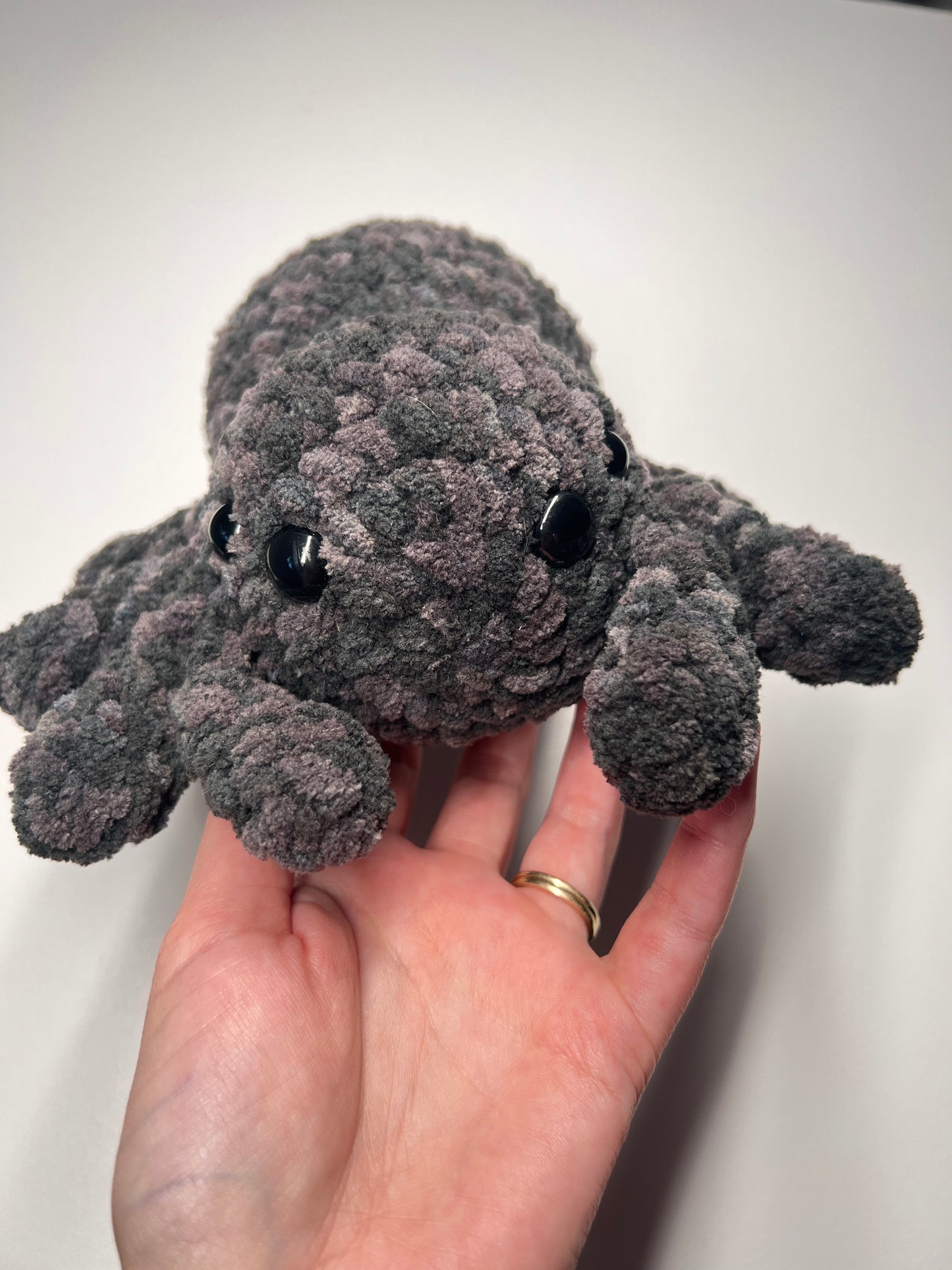 Gray plush spider held in a hand against a white background