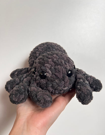 Plush toy spider held in a hand against a plain background
