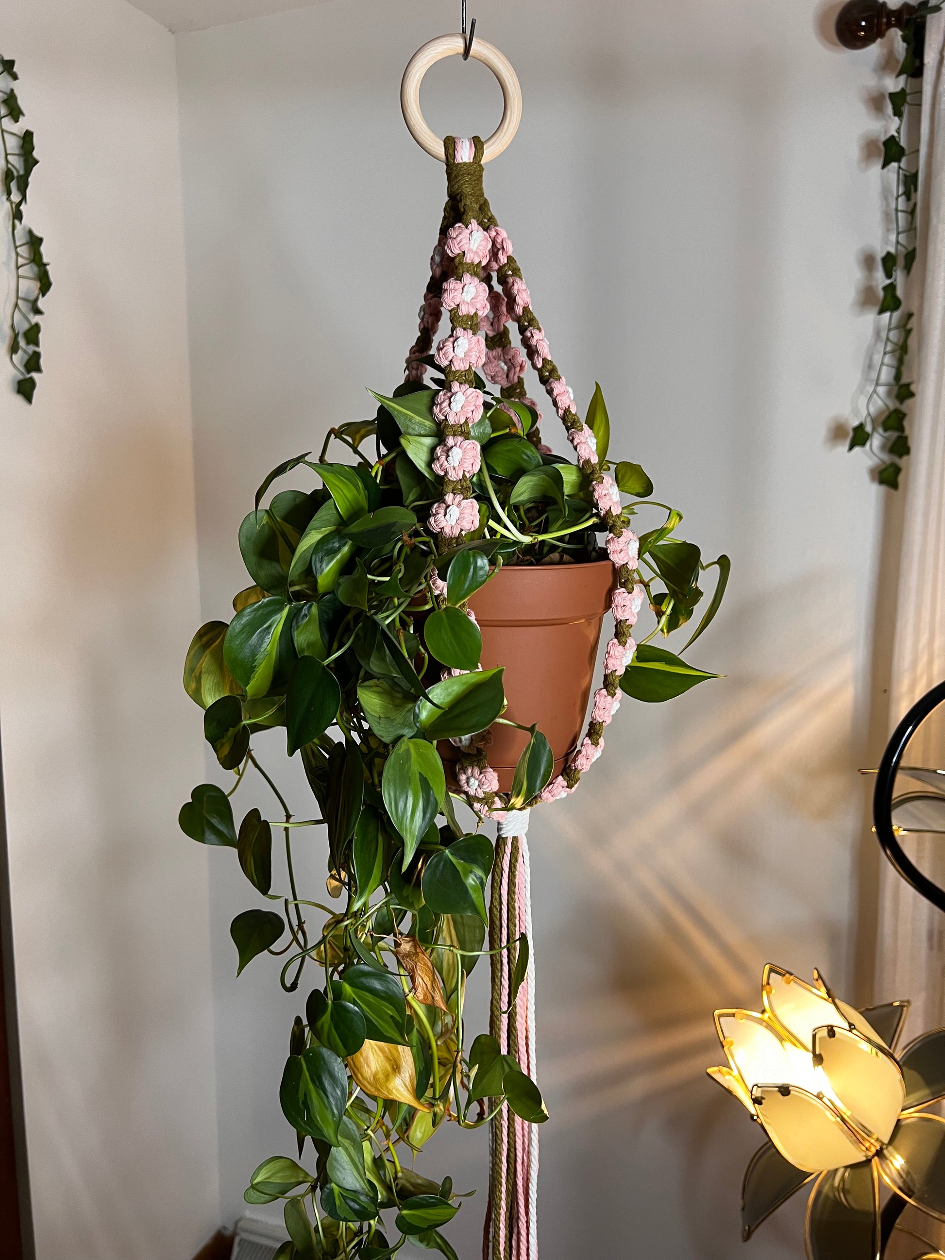 pothos in macrame hanger Macrame Plant Hanger – Beautiful Soul Collective