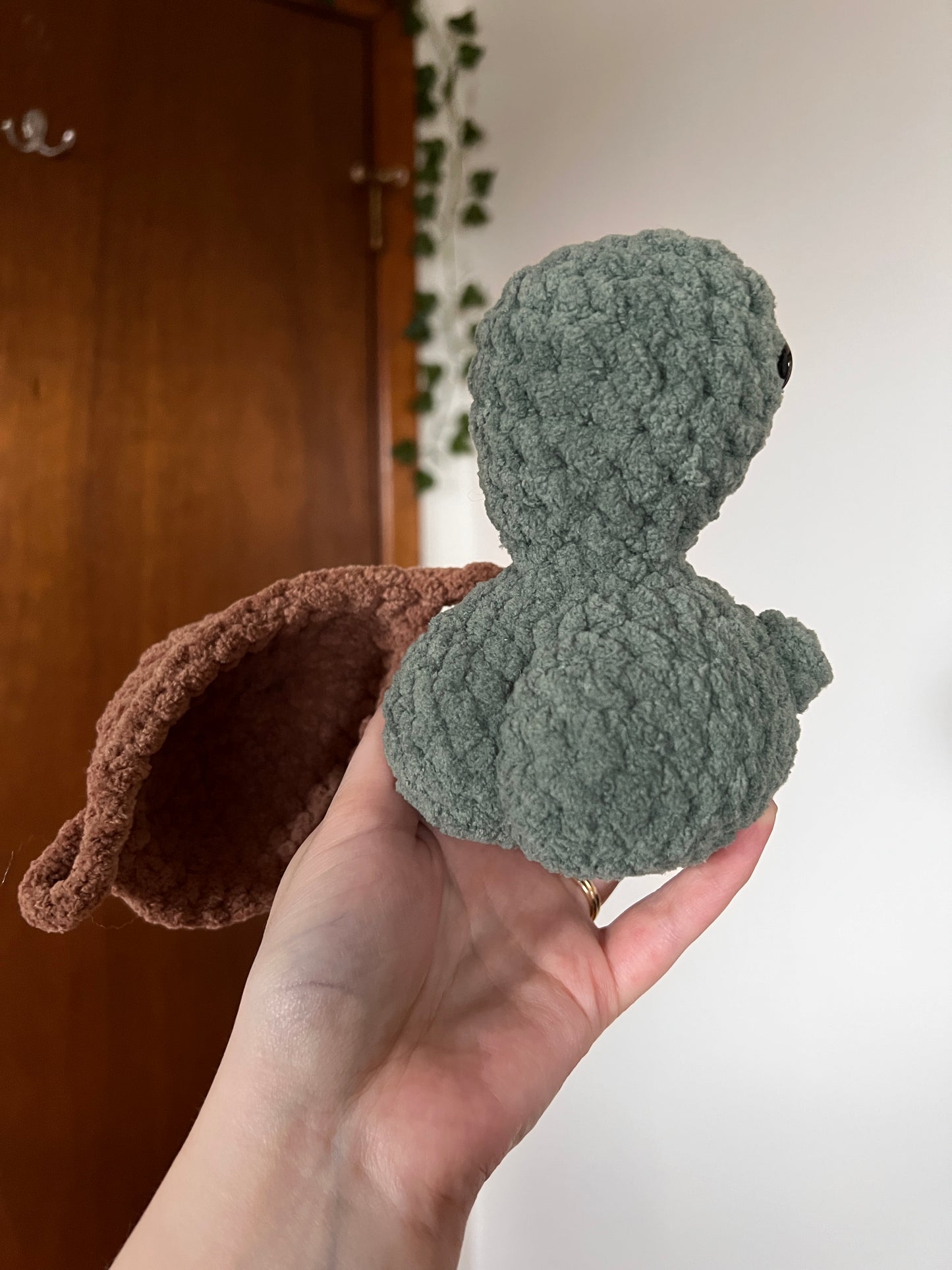 Booty Turtles