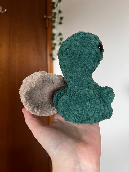 Booty Turtles
