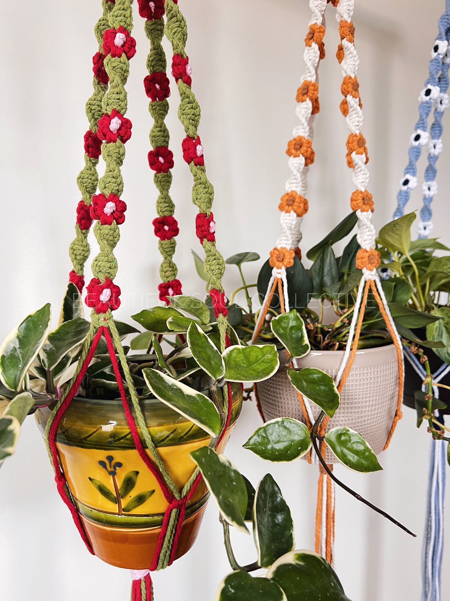 Hanging plant holders with colorful macrame flowers and spirals holding plants on a white background